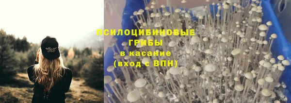кристаллы Гусев